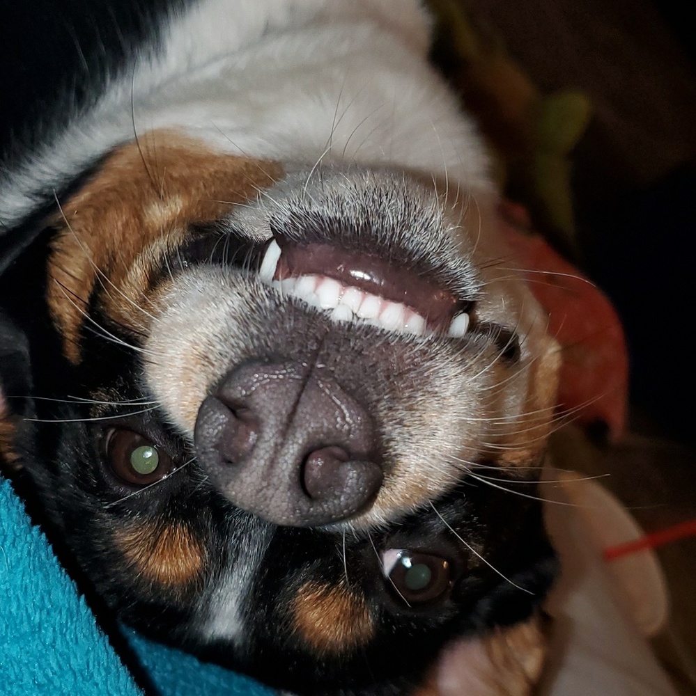 Meet your Posher, Chealsea